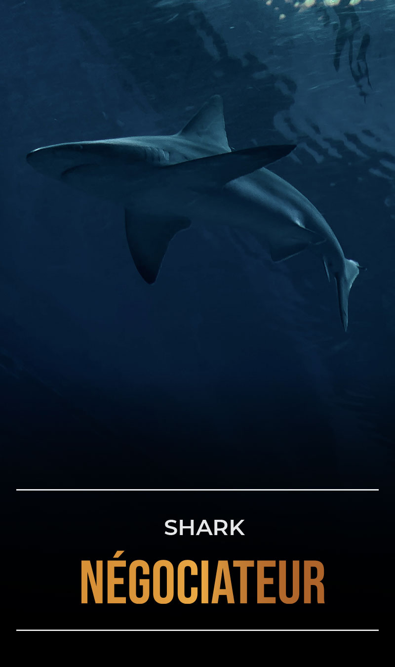 Shark négociateur